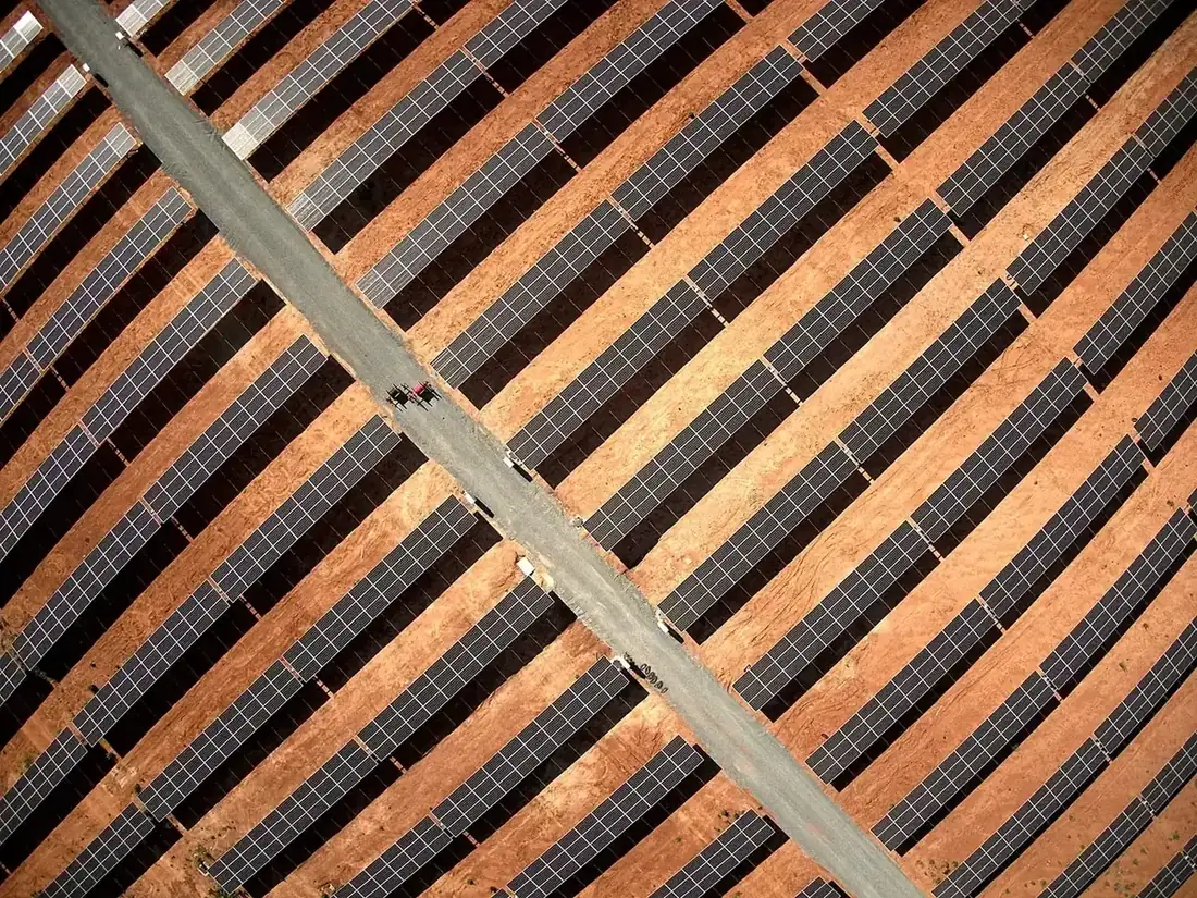 Ortofoto de cultivos generada con dron