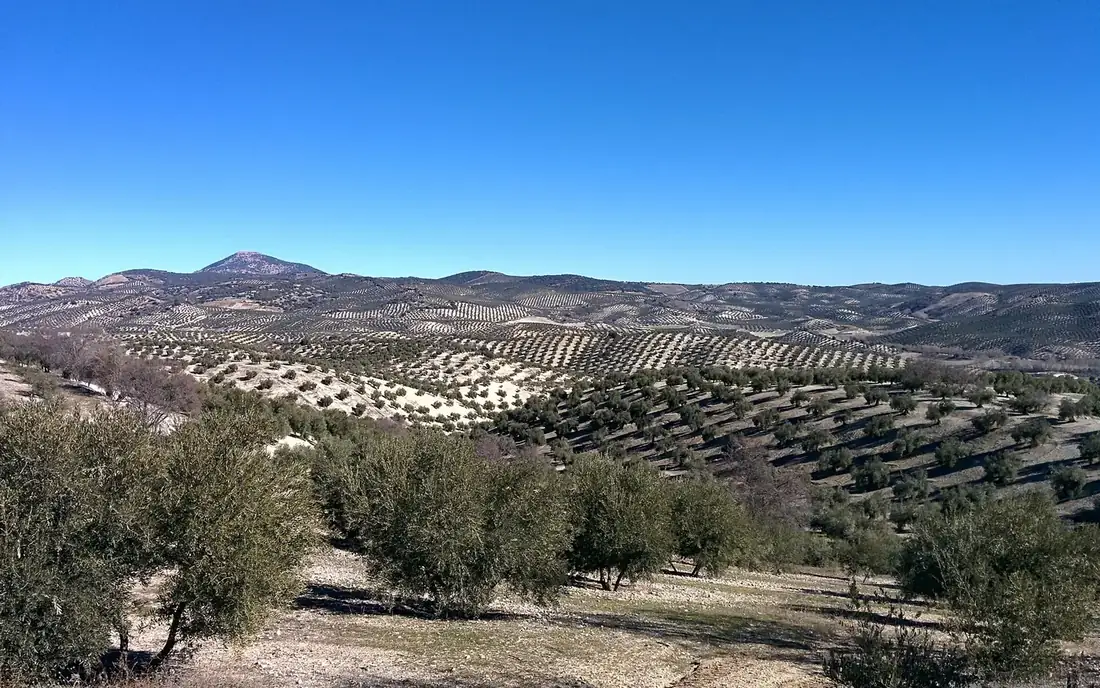 Iznalloz, en la provincia de Granada