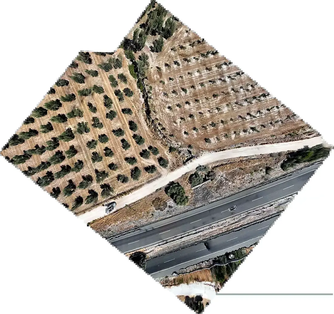 Ortofoto georreferenciada de una parcela agrícola obtenida por fotogrametría con dron
